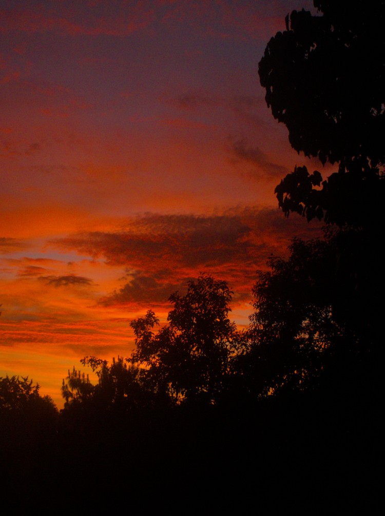atardecer